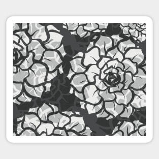 Black and White and Gray Translucent Succulents - Digitally Illustrated Flower Pattern for Home Decor, Clothing Fabric, Curtains, Bedding, Pillows, Upholstery, Phone Cases and Stationary Sticker